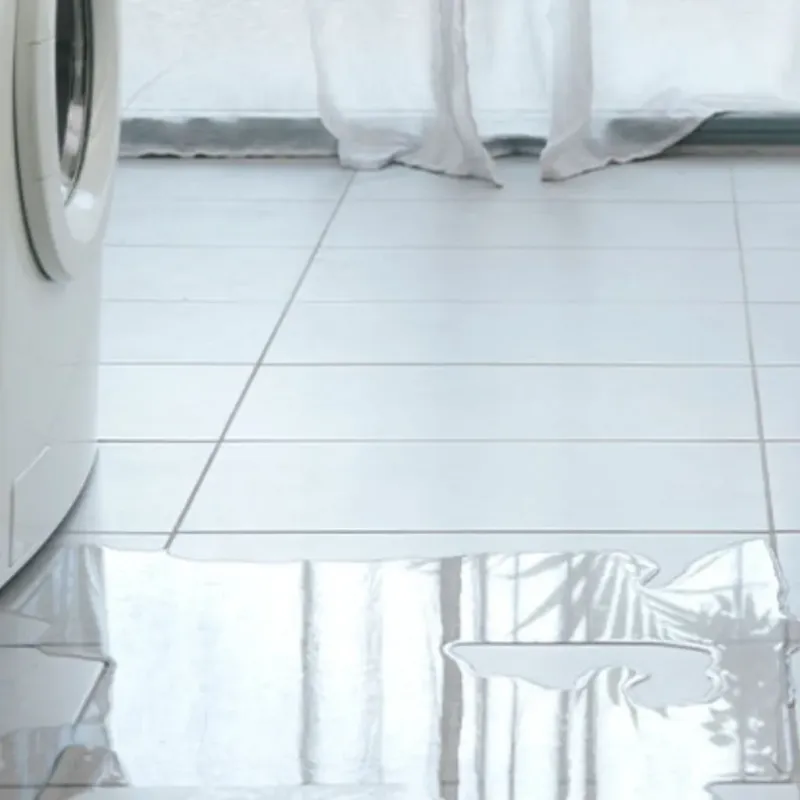 Appliance Leak Cleanup in Monroe County, MI