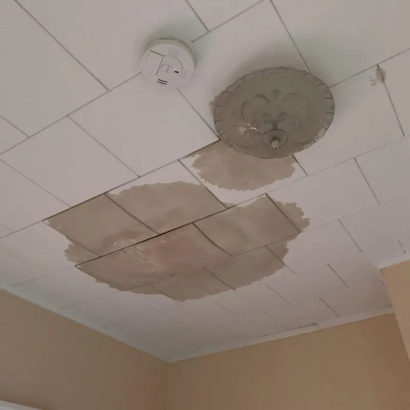 Ceiling Water Damage Repair in Monroe County, MI