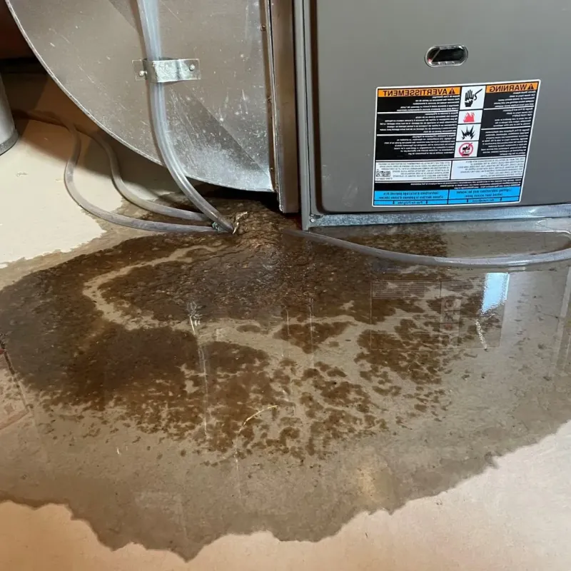 Pipe Burst and Leak Restoration in Monroe County, MI