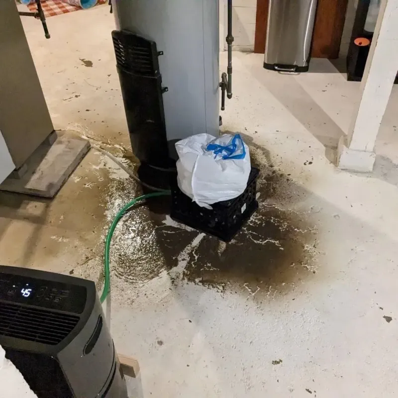 Sewage Backup Cleanup Service in Monroe County, MI